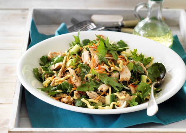 Sesame Chicken Salad | Recipes For Food Lovers Including Cooking Tips ...